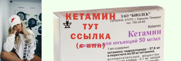 шишки Арсеньев