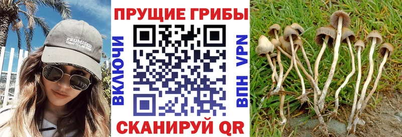 Галлюциногенные грибы мицелий  Красноуральск 